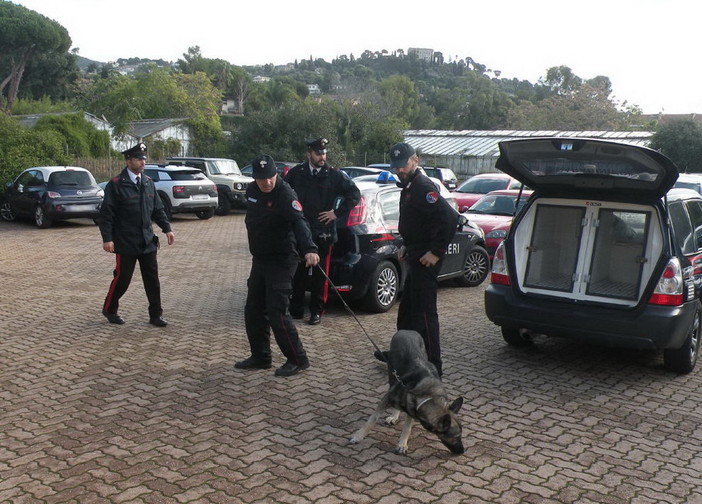 Bordighera: proseguono i controlli dei Carabinieri nelle scuole, oggi le unità cinofile al 'Montale' (Foto) Bordighera: proseguono i controlli dei Carabinieri nelle scuole, oggi le unità cinofile al 'Montale' (Foto)