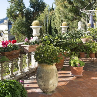 Per le 'Giornate FAI d'Autunno', visite alla Casa e Collezione Laura a Villa San Luca di Ospedaletti