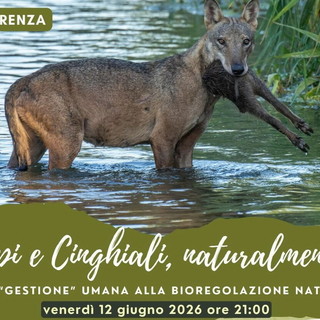 Lupi, cinghiali e uomo: al CAI Sanremo una serata per capire equilibri naturali e sfide della convivenza