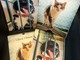 Un amico nuovo ogni mese: ecco il calendario con i cani e i gatti ospiti dell'Enpa per aiutare i '4 Zampe'