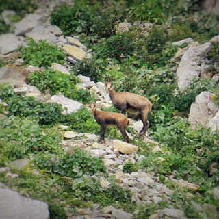 Mendatica: domenica prossima una giornata dedicata alla montagna ed all'escursionismo
