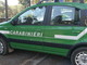 Cipressa: Carabinieri Forestali fermano due auto con 300 kg di euforbia potata illegalmente