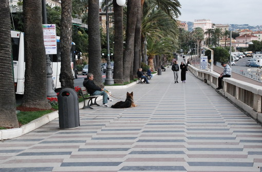 Sanremo: il passaggio che non c'è tra la ciclabile e l'Imperatrice, il pensiero del gestore del chiosco Sanremo: il passaggio che non c'è tra la ciclabile e l'Imperatrice, il pensiero del gestore del chiosco