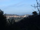 A Civezza appuntamento con l'evento 'Uliveti, erbe e degustazione con Natalino Trincheri'