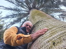 Oltre la bellezza: da Claudio Littardi storie e riflessioni sull'anima delle palme tra mistero e tradizione