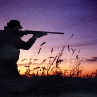 Calendario venatorio 2018/2019: questa sera a Bordighera incontro con Bruzzone, Piana e Mai