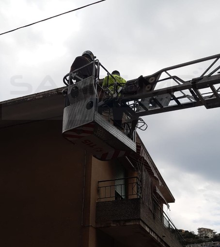 Il recupero dell'animale Il recupero dell'animale