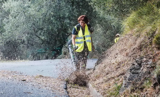 Foto d'archivio Foto d'archivio