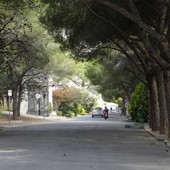 Sanremo, ancora proteste per i bus verso il cimitero di Valle Armea: “Corse soppresse e anziani lasciati soli” Sanremo, ancora proteste per i bus verso il cimitero di Valle Armea: “Corse soppresse e anziani lasciati soli”