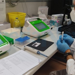 Coronavirus: oggi 74 nuovi positivi nella nostra provincia e tasso di positività che rimane invariato al 14%