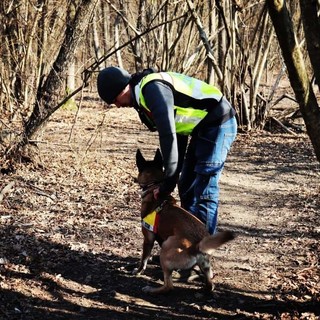 Cervo: domenica scorsa al Parco del Ciapà la prova di operatività per cani da ricerca e soccorso Cervo: domenica scorsa al Parco del Ciapà la prova di operatività per cani da ricerca e soccorso