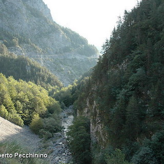 Disabilitano gli allarmi con le fionde e rubano nelle ville della zona di Colle di Nava