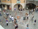 Il concorso di domenica