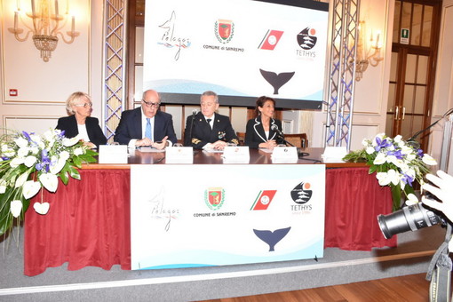 Sanremo: riprende la campagna 'Cetacei, FAI attenzione!', firmato protocollo d'intesa Tethys-Guardia Costiera (Foto e Video) Sanremo: riprende la campagna 'Cetacei, FAI attenzione!', firmato protocollo d'intesa Tethys-Guardia Costiera (Foto e Video)