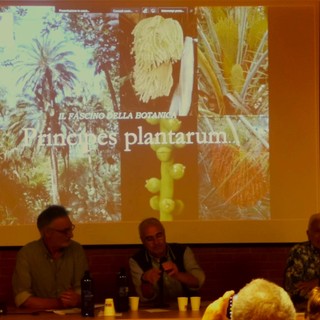 Riviera: È nato il gruppo di lavoro Palme, monocotiledoni arboree e cicadacee monumentali della Società Botanica Italiana.