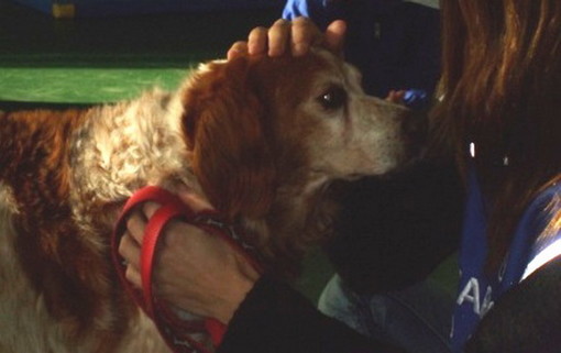 Sanremo: gli animali dell’Enpa nelle scuole dell’Istituto Comprensivo 'Sanremo levante' Sanremo: gli animali dell’Enpa nelle scuole dell’Istituto Comprensivo 'Sanremo levante'