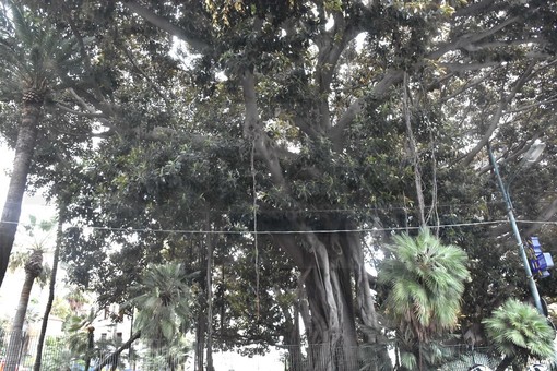 Foto d'archivio Foto d'archivio