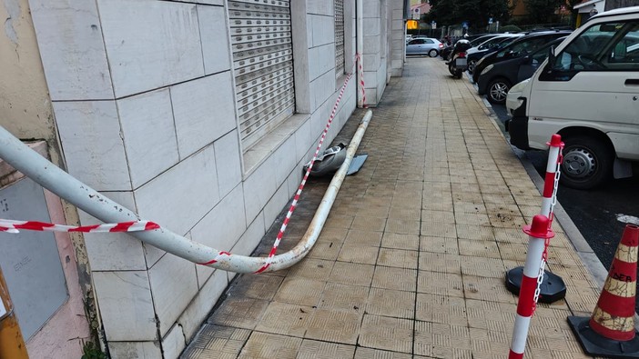 Foto di Carlo Alessi