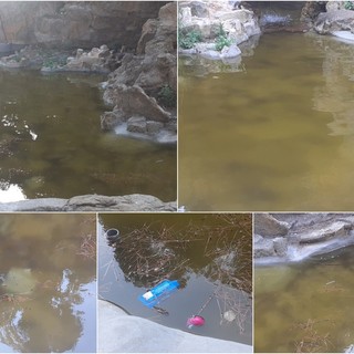 Le immagini della fontana dei giardini Regina Elena