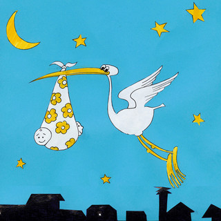 Castelvittorio: è nata la piccola Nurcan, dopo 50 anni la cicogna è arrivata in casa!