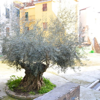 Sanremo: la prima galleria civica espositiva nella Pigna,  inaugurazione oggi pomeriggio