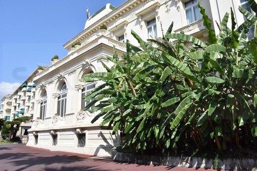 Sanremo: premio di produttività al Casinò, l'Ugl si dissocia dagli altri sindacati e ritiene legittima la decisione dell'azienda