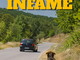 Regione Liguria contro l'abbandono degli animali: al via la campagna social "Infame" per fermare un gesto vile e criminale