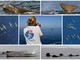 Eccezionali incontri con gruppi di capodogli e neonati: il Santuario dei cetacei ancora più importante per la loro tutela (Foto e Video) Eccezionali incontri con gruppi di capodogli e neonati: il Santuario dei cetacei ancora più importante per la loro tutela (Foto e Video)