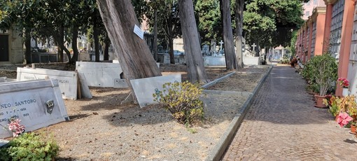 Sanremo: domani visita guidata al Cimitero Monumentale, concluso l’iter di adesione all'ASCE Sanremo: domani visita guidata al Cimitero Monumentale, concluso l’iter di adesione all'ASCE
