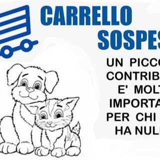 Il 'lock down' ha creato problemi alle famiglie che hanno animali: sabato raccolta alimentare per i 4 zampe Il 'lock down' ha creato problemi alle famiglie che hanno animali: sabato raccolta alimentare per i 4 zampe