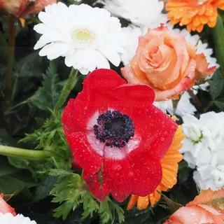 Il GAL Riviera dei Fiori proroga la scadenza delle manifestazioni di interesse per tre progetti