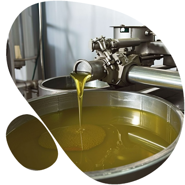CNA Imperia chiede più valore per l’olio e una giusta remunerazione per la filiera CNA Imperia chiede più valore per l’olio e una giusta remunerazione per la filiera