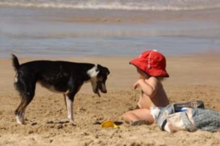 Ospedaletti: nei prossimi giorni vicino al piazzale a Mare aprirà una nuova spiaggia dedicata agli 'amici a 4 zampe' Ospedaletti: nei prossimi giorni vicino al piazzale a Mare aprirà una nuova spiaggia dedicata agli 'amici a 4 zampe'