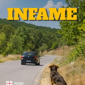 Regione Liguria contro l'abbandono degli animali: al via la campagna social "Infame" per fermare un gesto vile e criminale