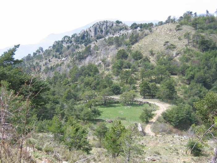 Domenica prossima escursione a Castellar al Grand Mont alla ricerca delle splendide Peonie
