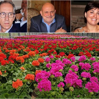 Sanremo: floricoltori del Ponente in piena emergenza, il sindaco Biancheri si fa portavoce con la Regione per la richiesta dello stato di calamità