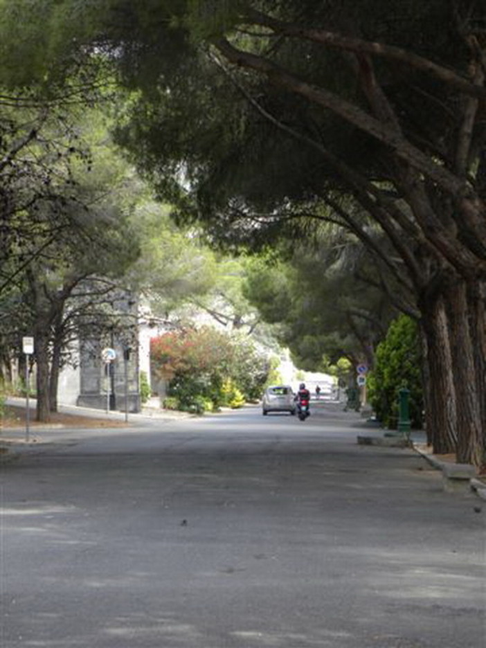 Sanremo, ancora proteste per i bus verso il cimitero di Valle Armea: “Corse soppresse e anziani lasciati soli” Sanremo, ancora proteste per i bus verso il cimitero di Valle Armea: “Corse soppresse e anziani lasciati soli”