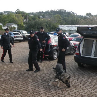 Bordighera: proseguono i controlli dei Carabinieri nelle scuole, oggi le unità cinofile al 'Montale' (Foto)