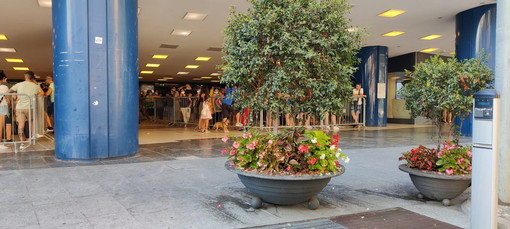 Sanremo: hub vaccinale al Palafiori, la soddisfazione e i ringraziamenti di un lettore Sanremo: hub vaccinale al Palafiori, la soddisfazione e i ringraziamenti di un lettore