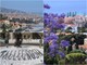 Da Bordighera a Ventimiglia un Ferragosto entusiasmante con turisti italiani e stranieri Da Bordighera a Ventimiglia un Ferragosto entusiasmante con turisti italiani e stranieri
