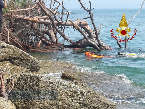 Ventimiglia: crolla un grosso pino su una spiaggetta di Latte, lievemente ferita una donna di 45 anni (Foto) Ventimiglia: crolla un grosso pino su una spiaggetta di Latte, lievemente ferita una donna di 45 anni (Foto)