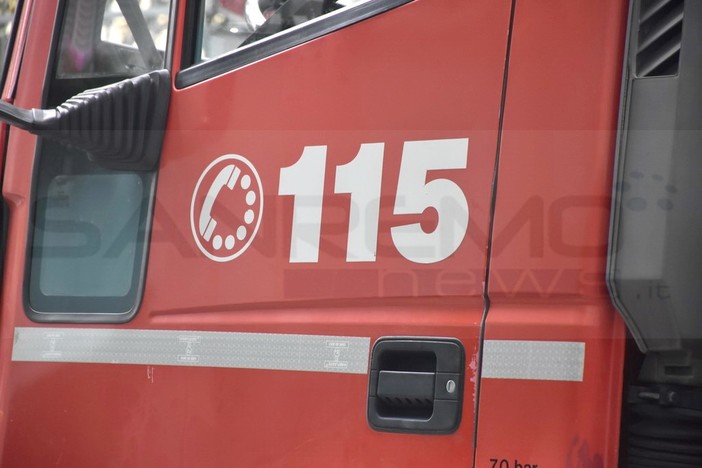 Sanremo: cane cade su una serra e viene tratto in salvo da Vigili del Fuoco e servizio veterinario Sanremo: cane cade su una serra e viene tratto in salvo da Vigili del Fuoco e servizio veterinario