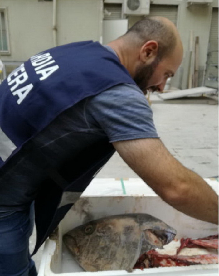 La Guardia Costiera della Liguria a tutela della risorsa ittica e del consumatore: due interventi nel genovese