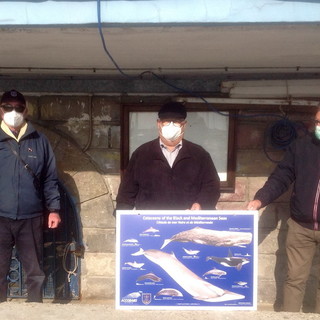 Sanremo: un pannello che raffigura i Cetacei del Mediterraneo donato ai pescatori dilettanti del porto vecchio Sanremo: un pannello che raffigura i Cetacei del Mediterraneo donato ai pescatori dilettanti del porto vecchio