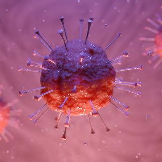 Coronavirus: cresce dopo la flessione dei giorni scorsi il numero di morti nella nostra provincia, 9 nelle ultime 24 ore