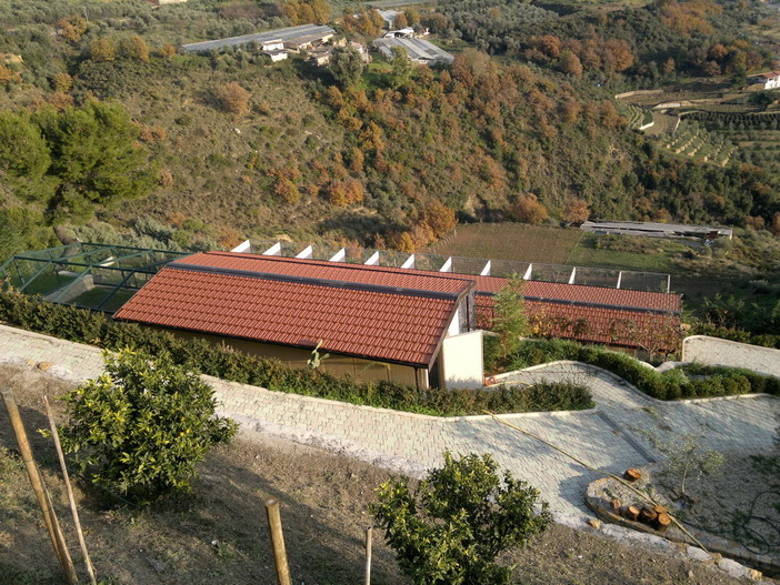 Ventimiglia: entro il 28 febbraio i randagi del canile di Peglia verranno trasferiti al 'Pluto's' di Bussana
