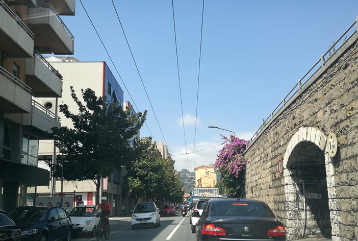 Ventimiglia: proseguono in tutto corso Genova i lavori di potatura della bouganville Ventimiglia: proseguono in tutto corso Genova i lavori di potatura della bouganville