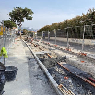 Sanremo: il Tar annulla il restyling del porto, il j'accuse del comitato Pat "E ora gli alberi di via Bixio?"