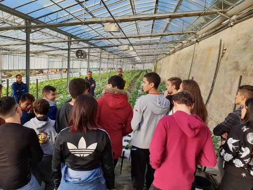 Una didattica innovativa con i nuovi progetti europei: interessanti corsi attivati all'Istituto Colombo di Sanremo