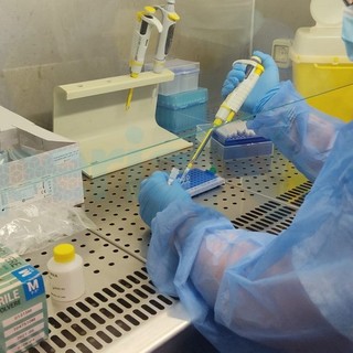 Coronavirus: numeri sempre molto bassi nell'ultima settimana nel Principato di Monaco Coronavirus: numeri sempre molto bassi nell'ultima settimana nel Principato di Monaco